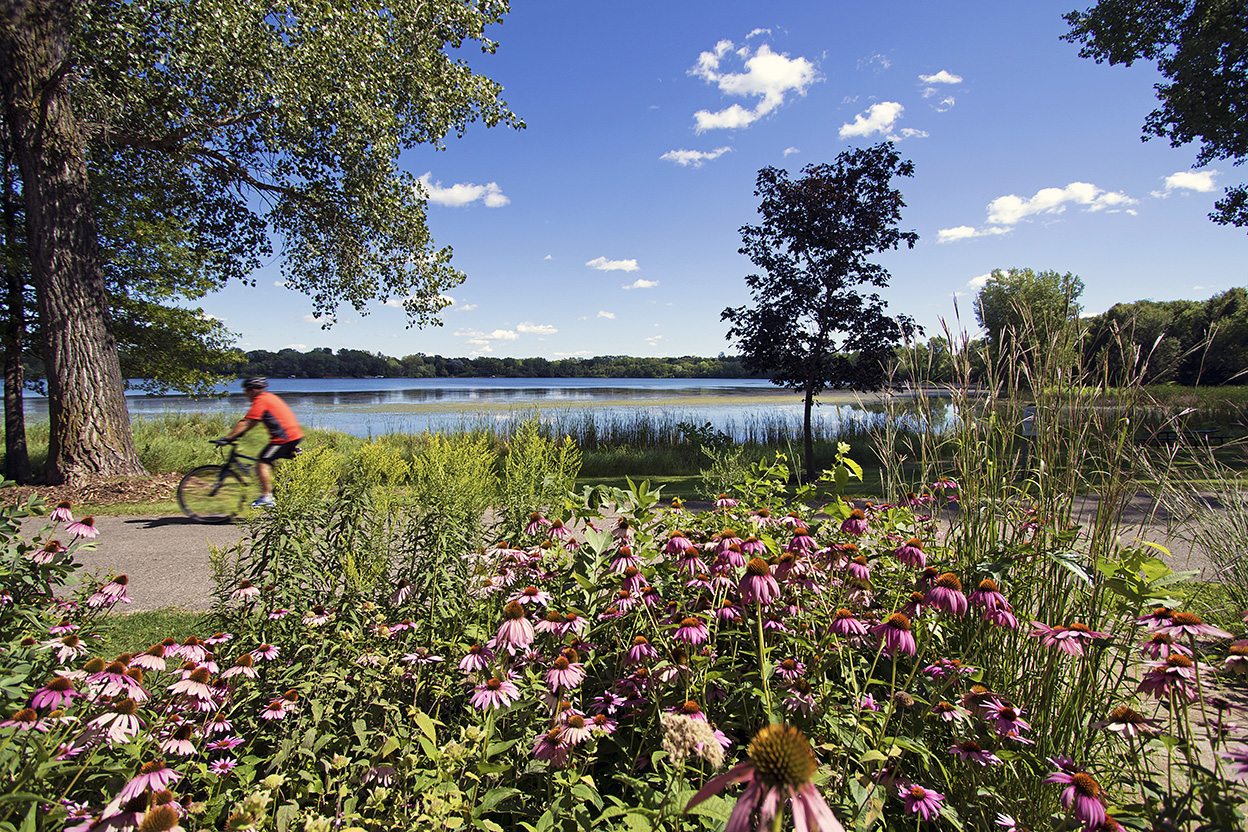 The Trails of Plymouth Minnesota with biker on a summer day with a lake in the background and flowers in the foreground